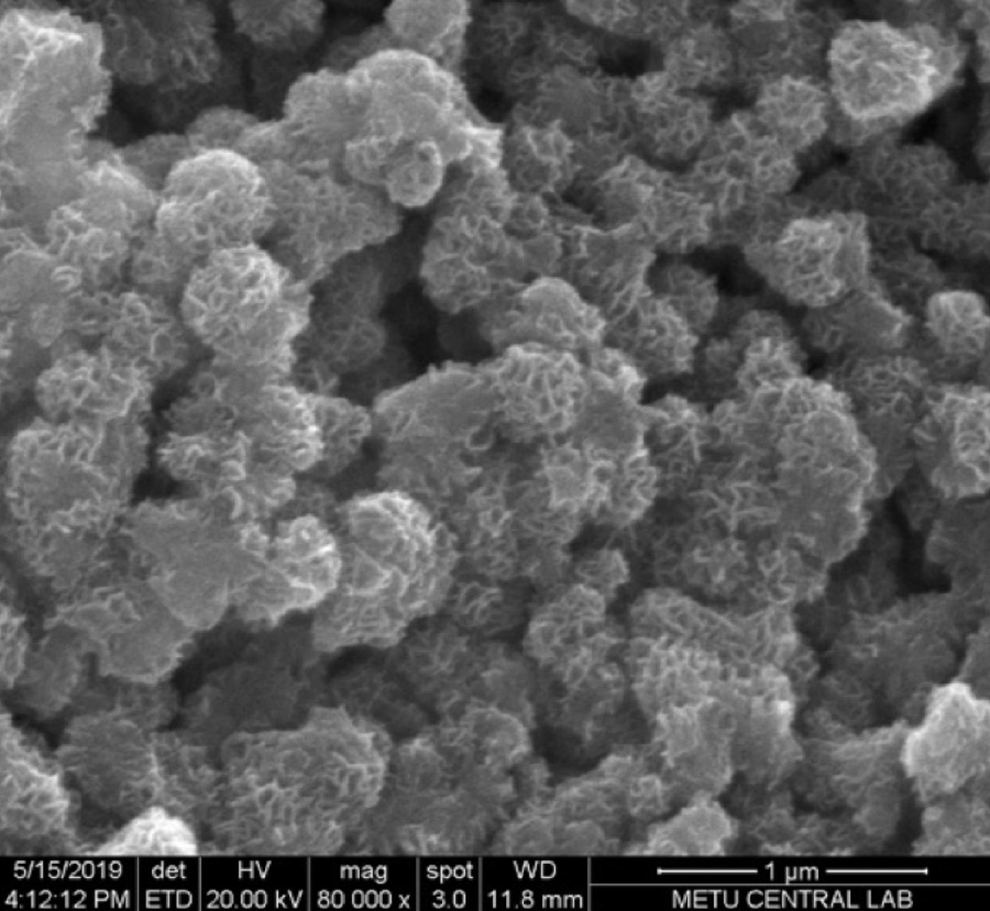 Chitligsan yüzeyinin elektron mikroskobu görüntüsü